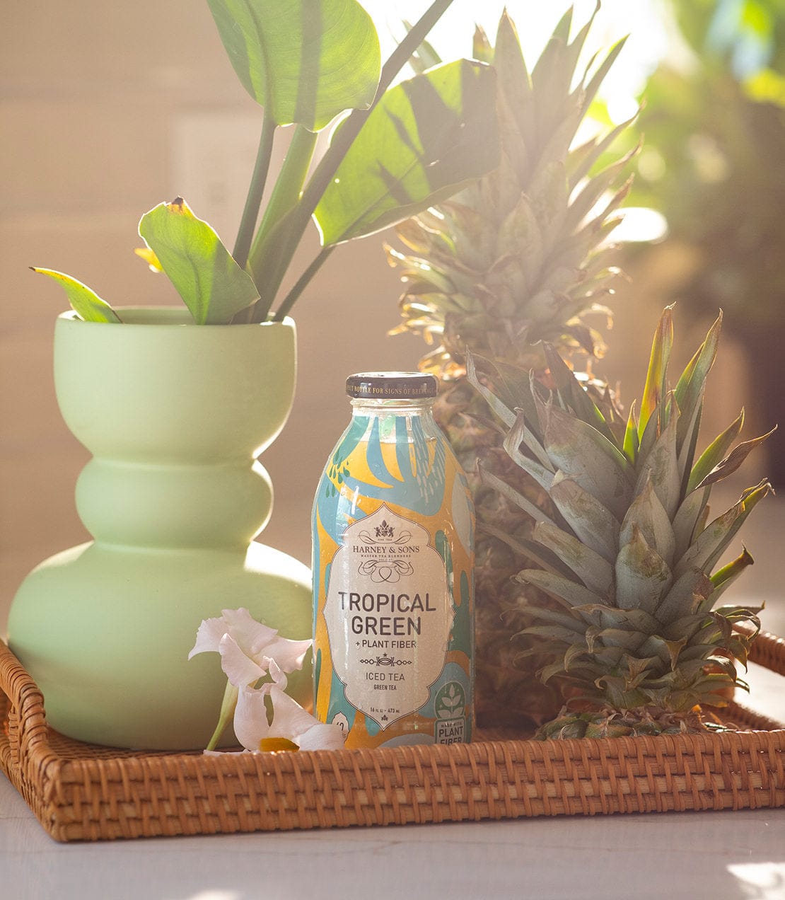 Product Image: Tropical Green + Plant Fiber Iced Tea