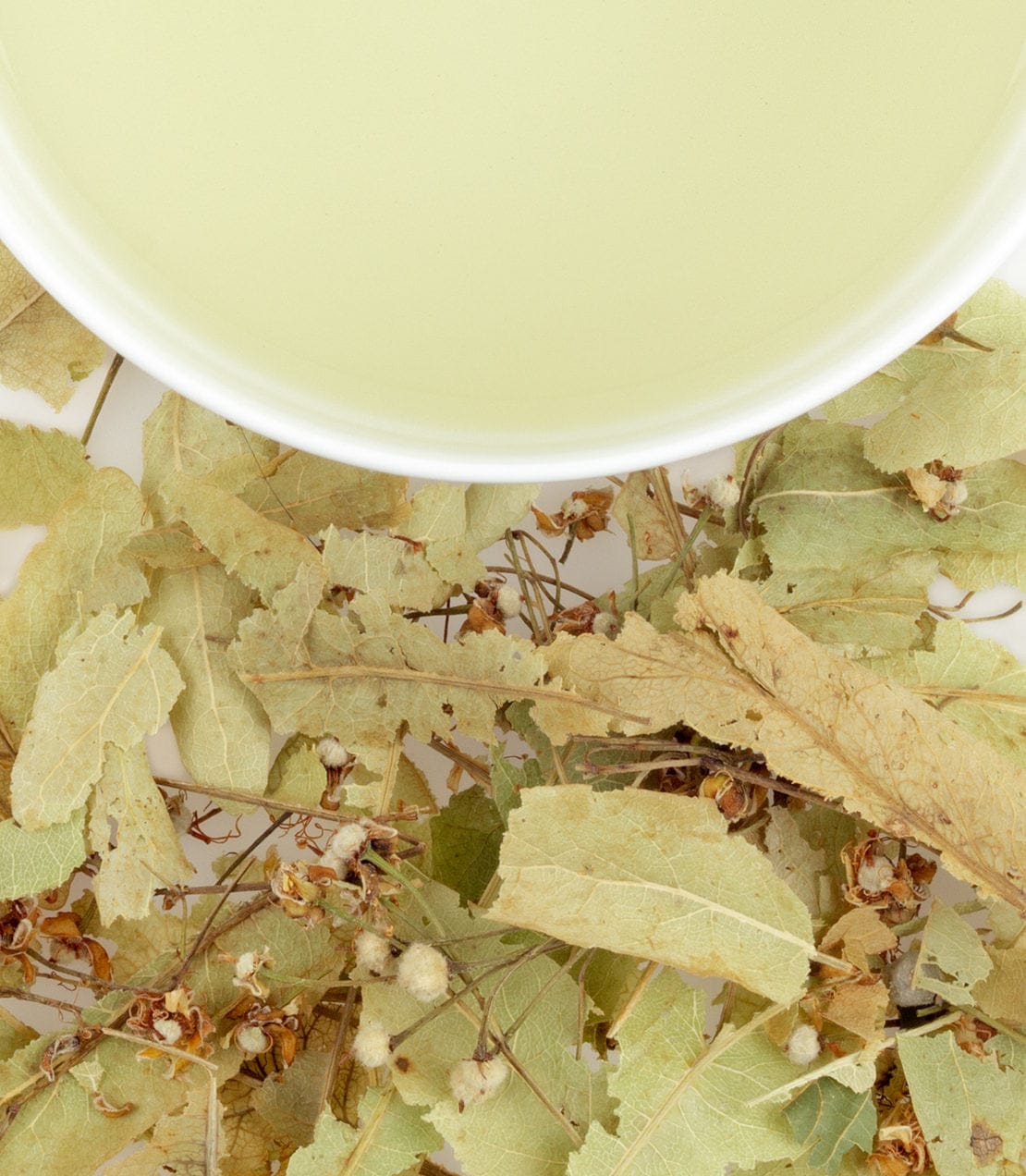 Tilleul (Linden Leaves) image