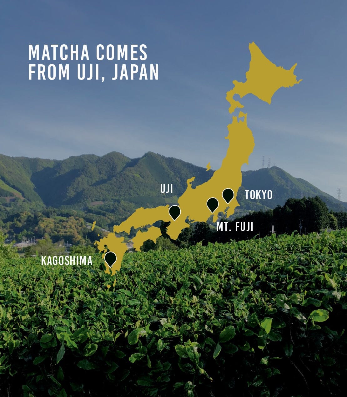 Product Image: Culinary Matcha