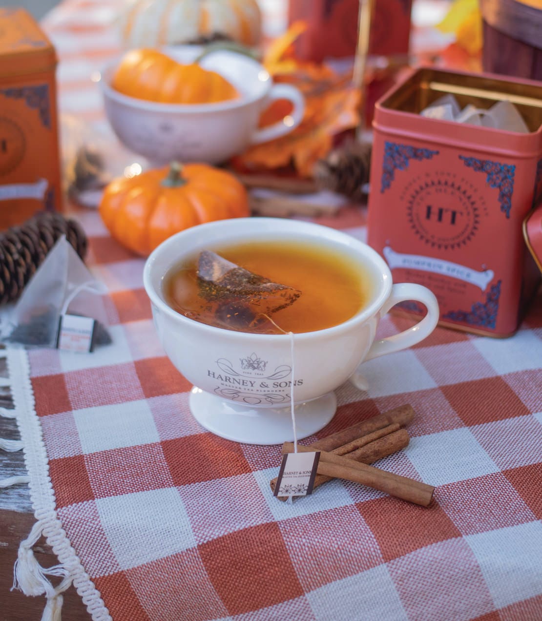 Product Image: Pumpkin Spice, HT Tin of 20 Sachets
