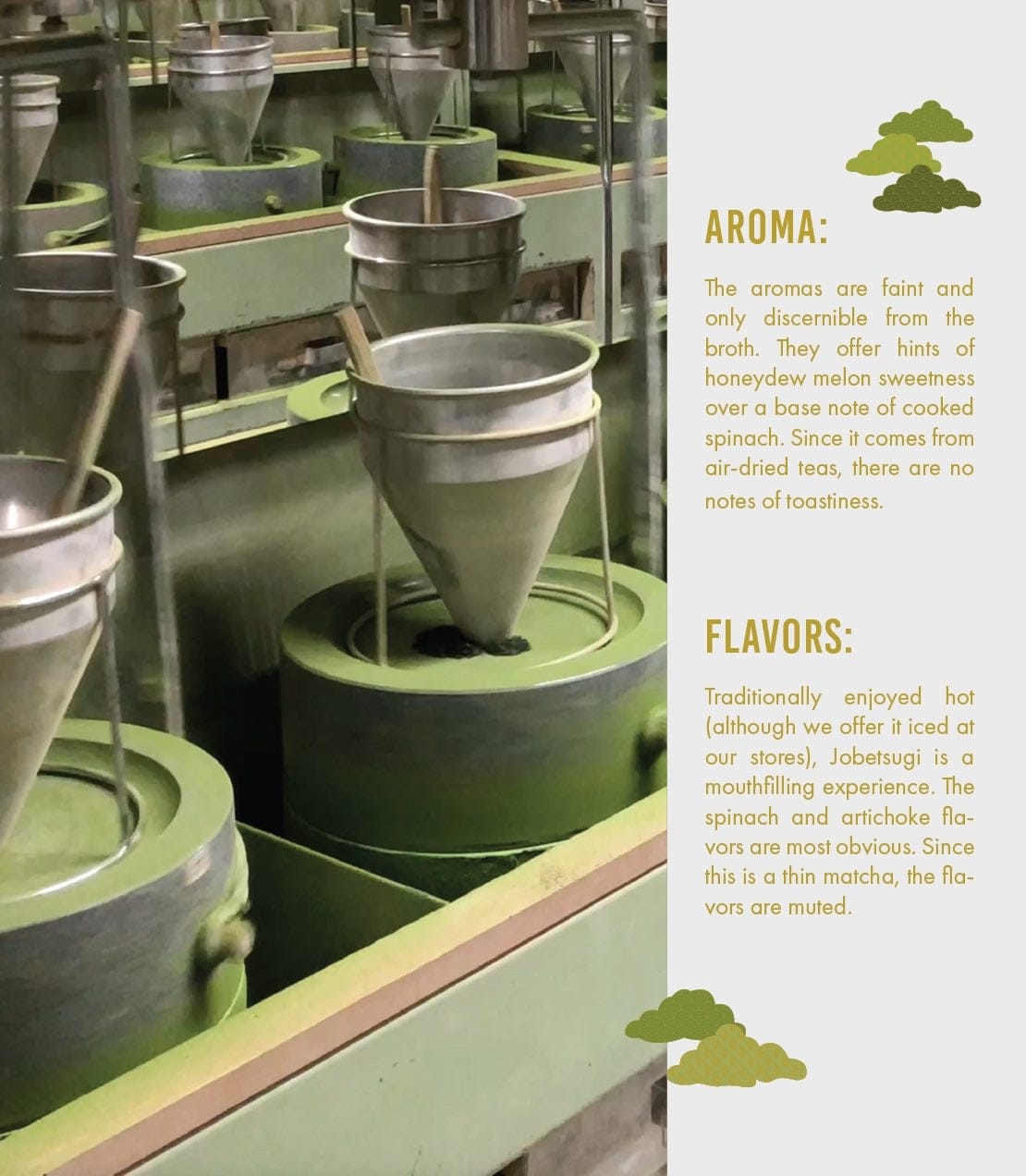 Product Image: Culinary Matcha