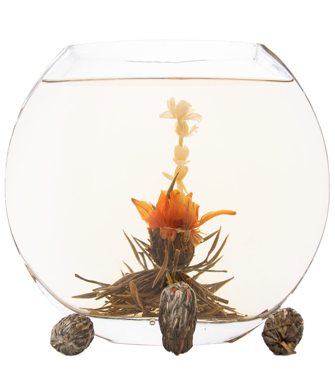 Jasmine Fairy Maidens image