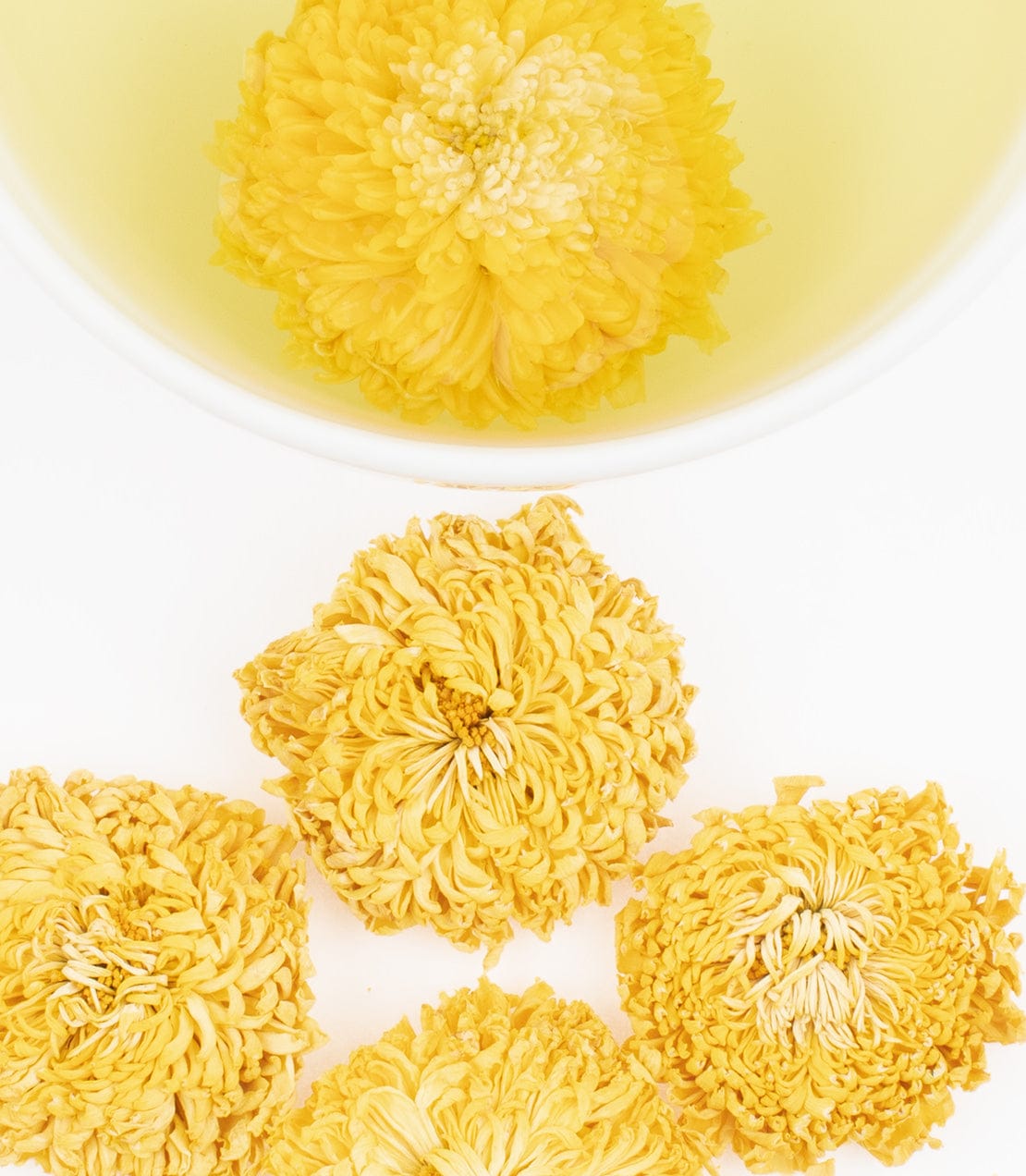 Royal Chrysanthemum image