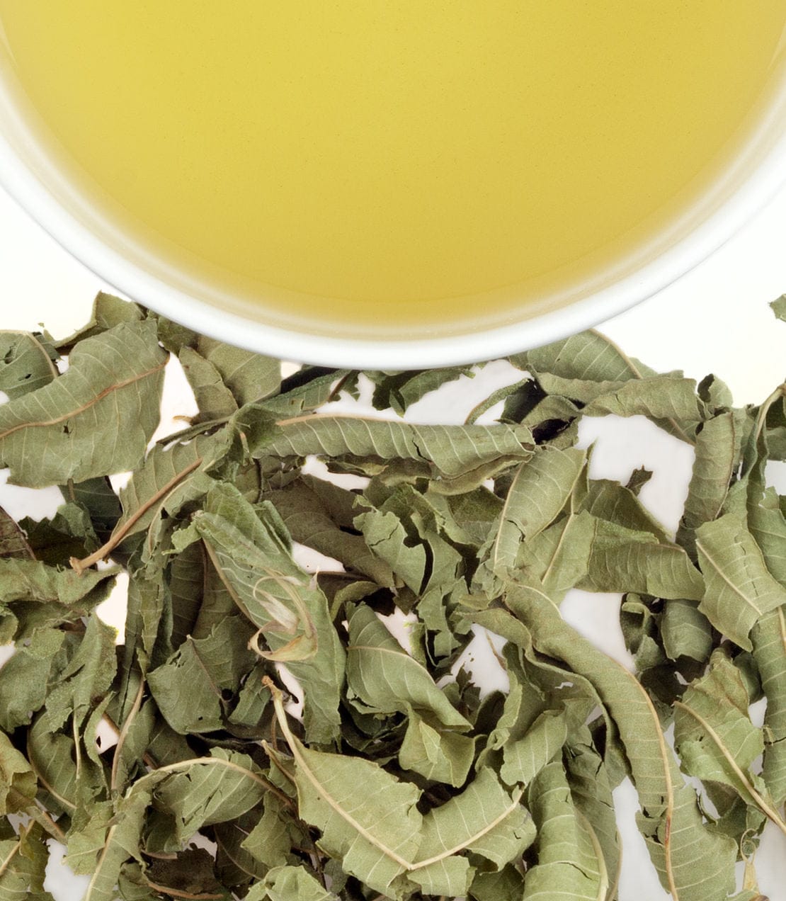 Verveine (Lemon Verbena) image